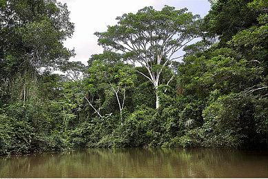 招聘信息暗示：《巫师》多人游戏将采用基于职业的游戏模式